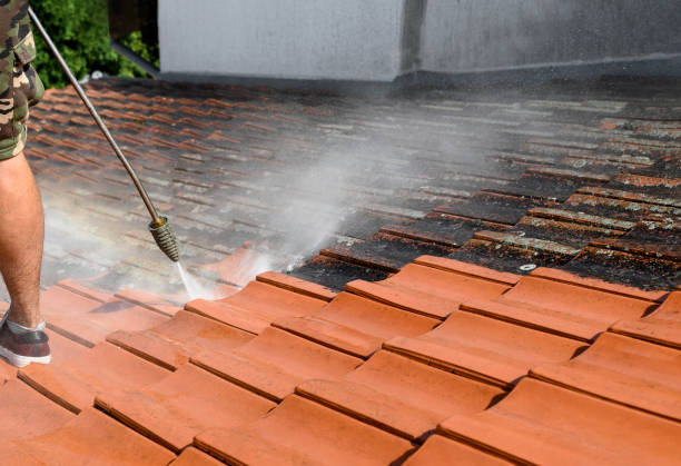 Best Local Pressure Washing Services  in Northville, NY